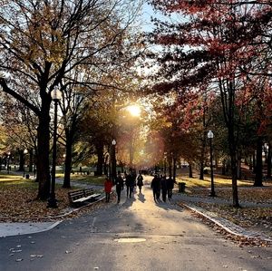 Meet your Posher, Thomas